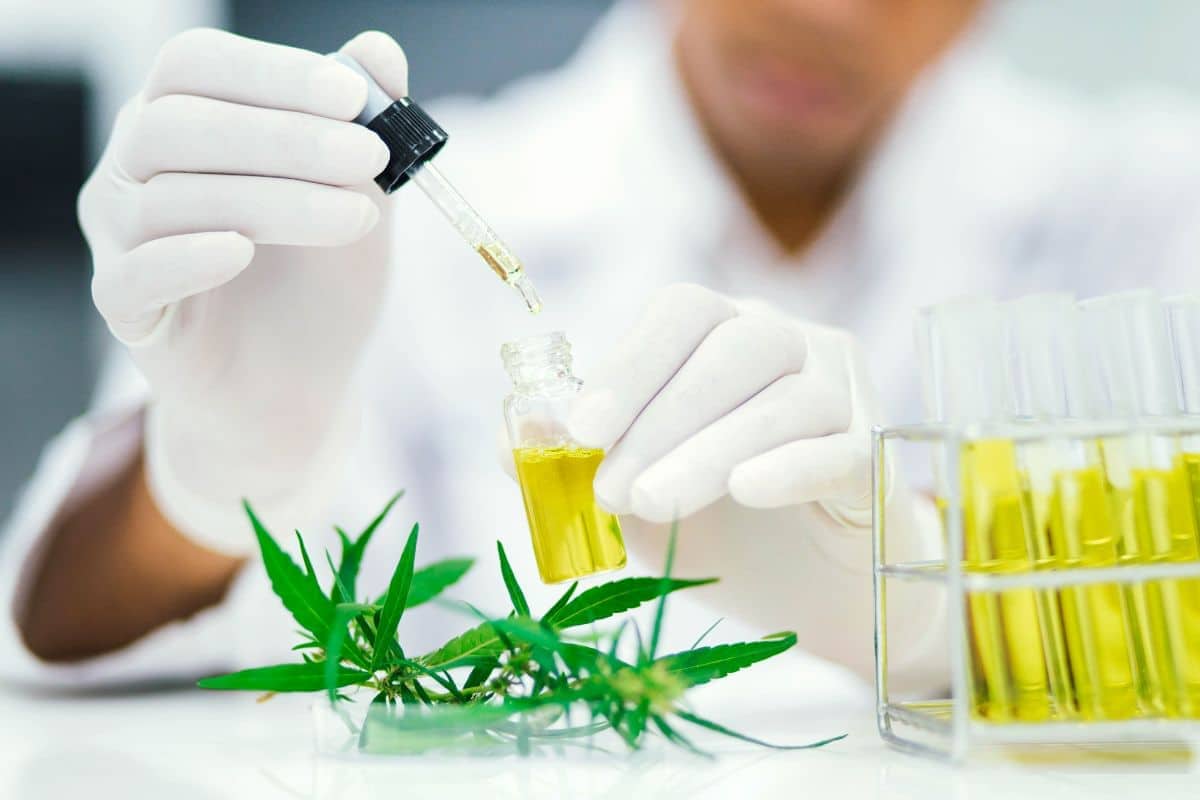 A lady conducting a drug test