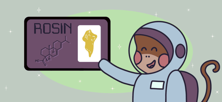 what is rosin