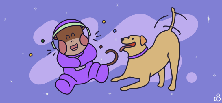 D8 Safe Dogs
