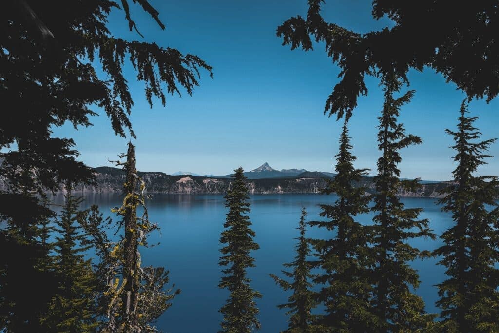 Hemp derived delta 8 in Oregon