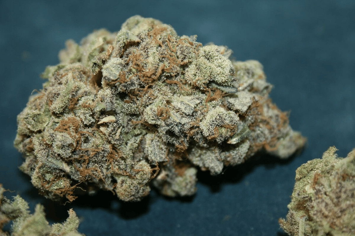 Bubba Kush strain