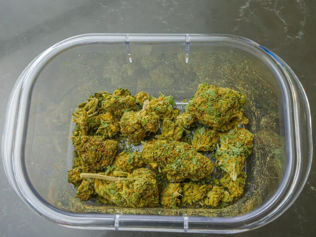 CBD Mango Haze