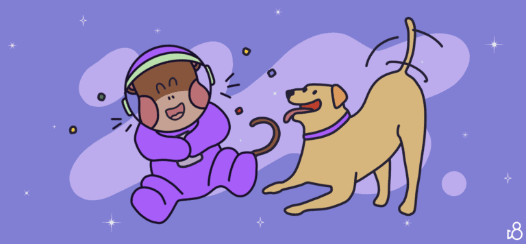 D8 Safe Dogs