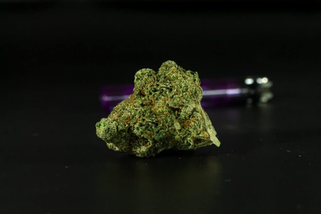 Mango Sherbert Strain
