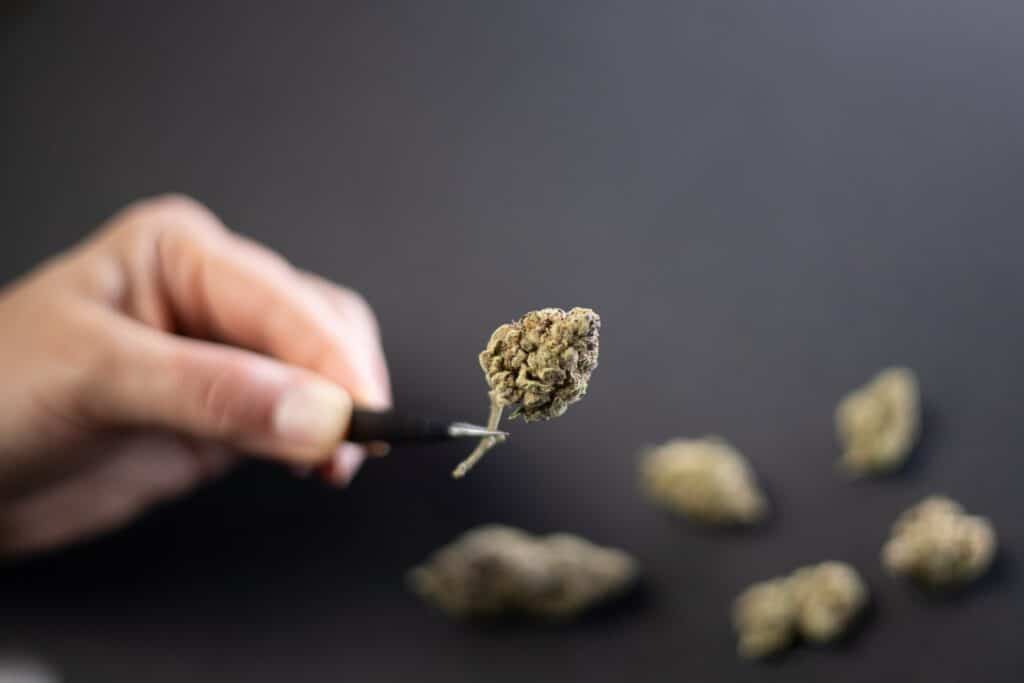 Mango Tango marijuana strain