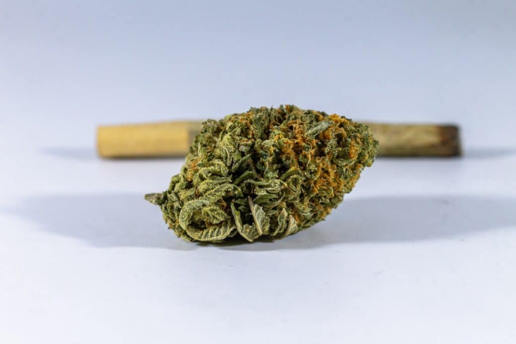 Pink Mango Strain