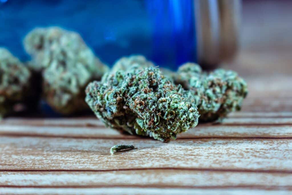 Sour Mango strain