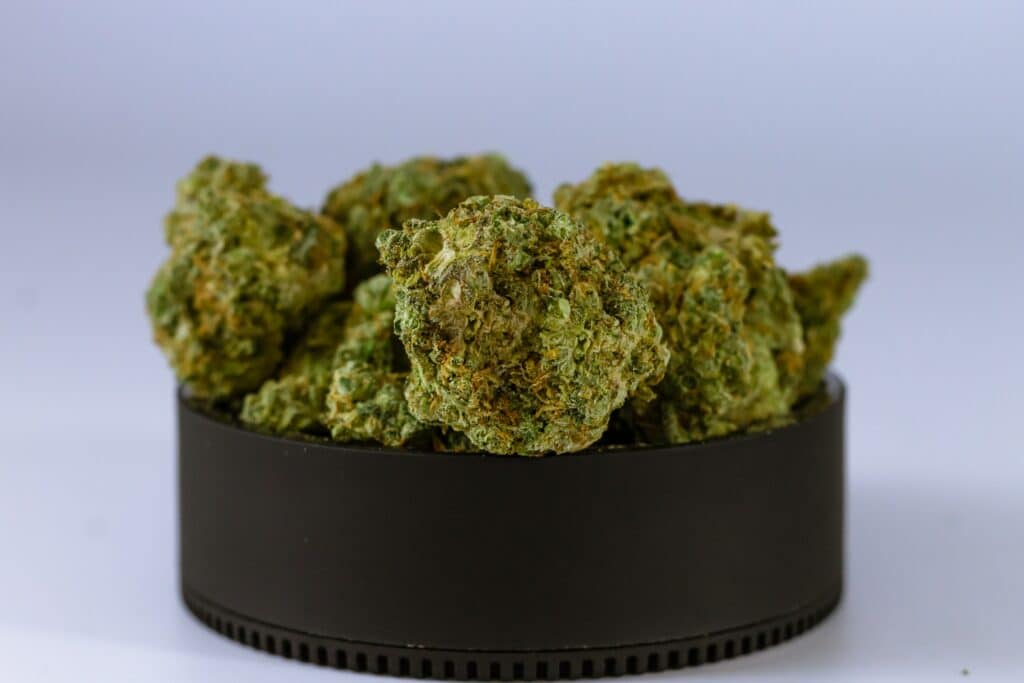 Strawberry Mango Haze Strain