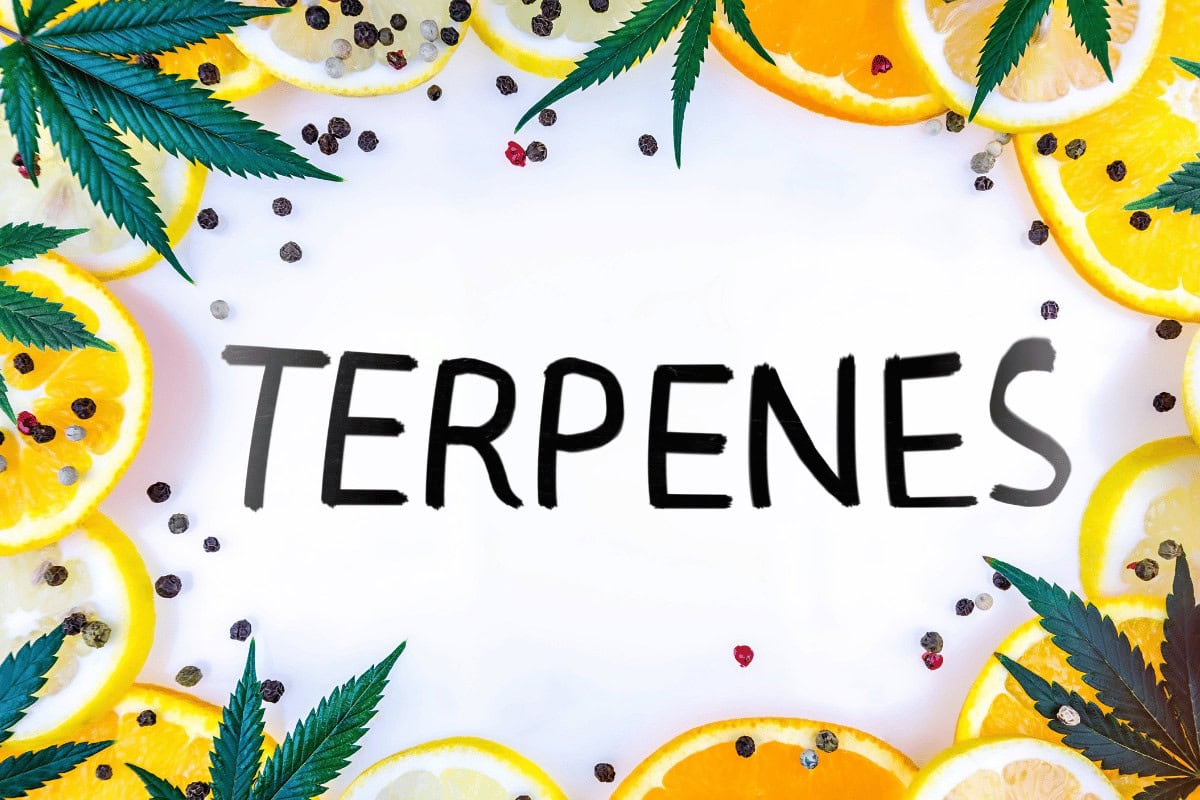 Cannabis derived terpenes Cannabis derived terpenes