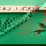 Cannabis law