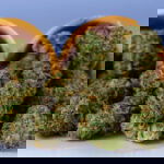 Pineapple Express Strain