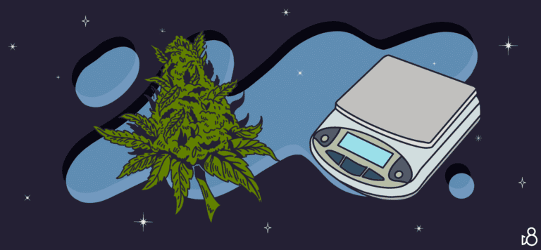 8th weed