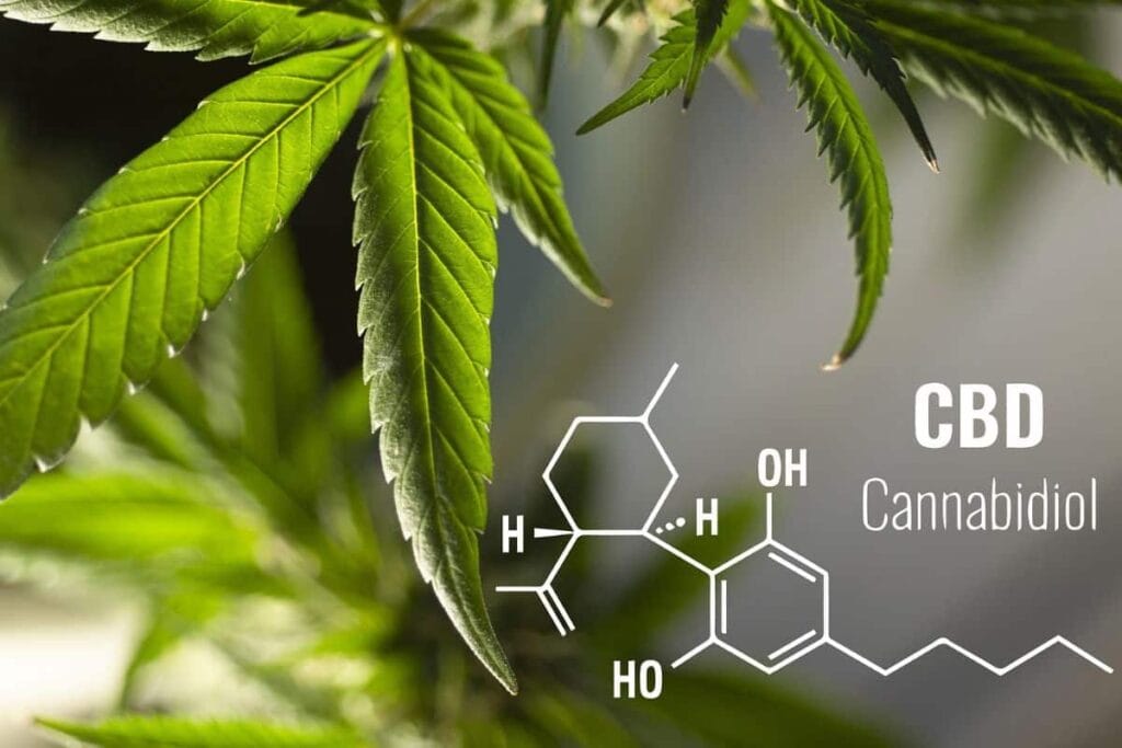 CBD
