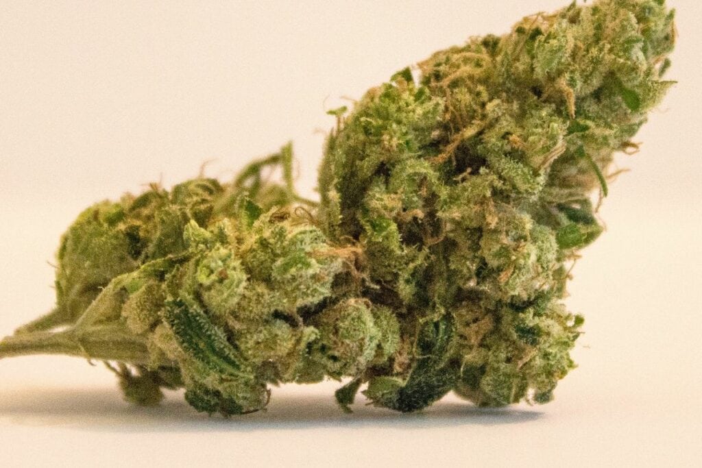 Cannabis strain