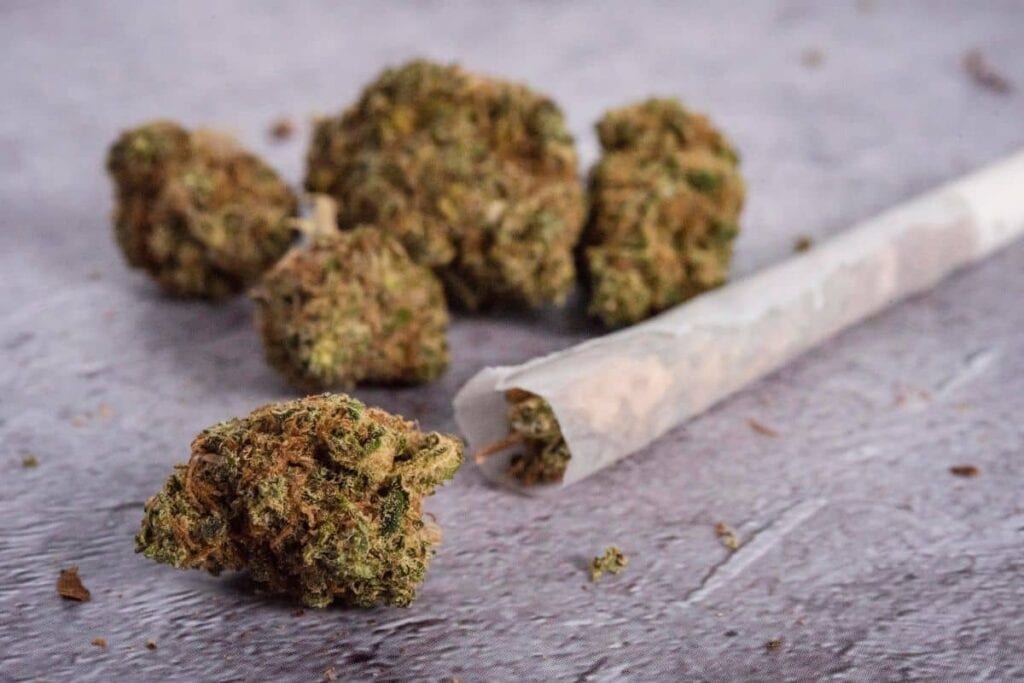 Cookie Strain
