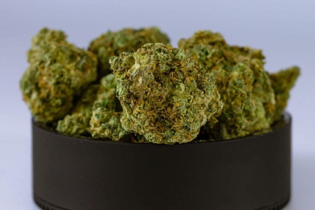 Marijuana strain