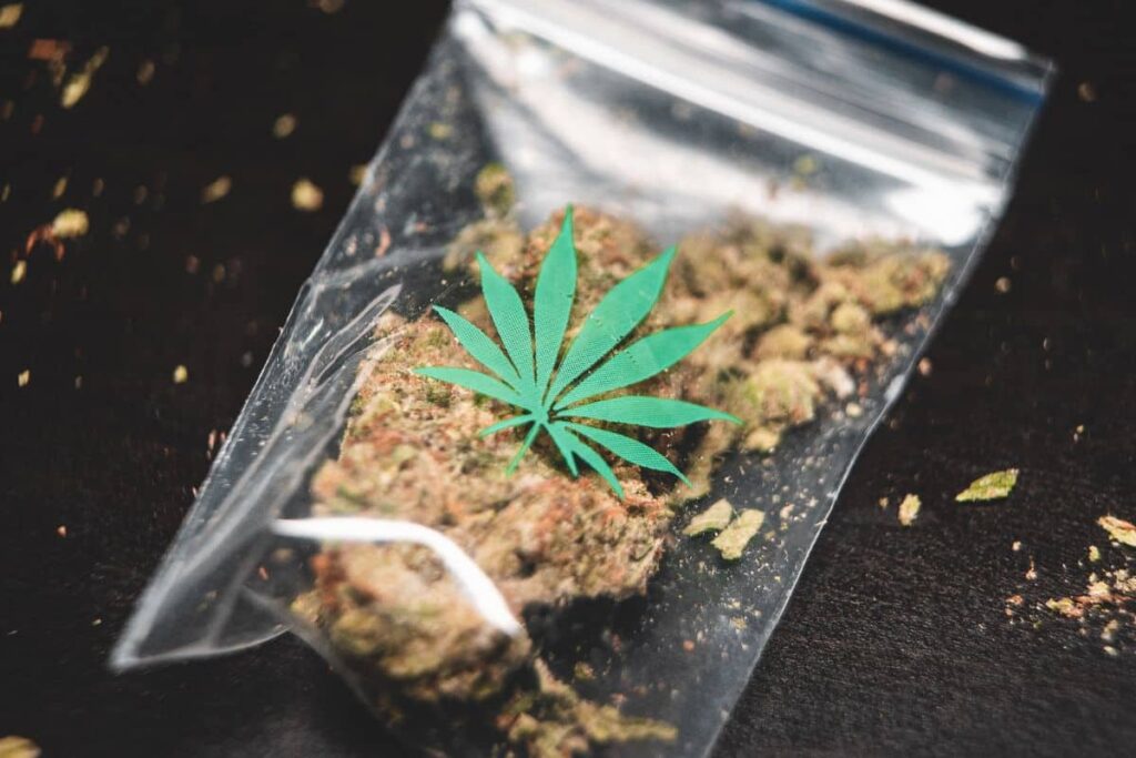 Weed