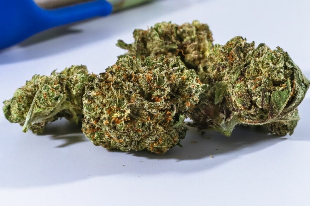 Weed strain