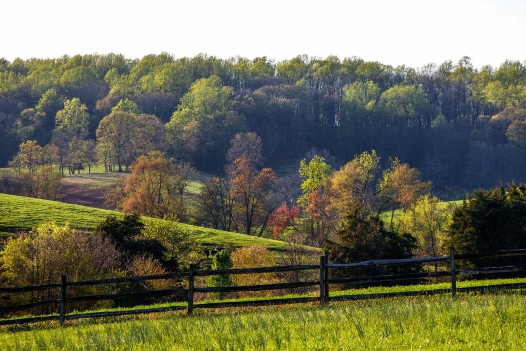 Ashburn Virginia