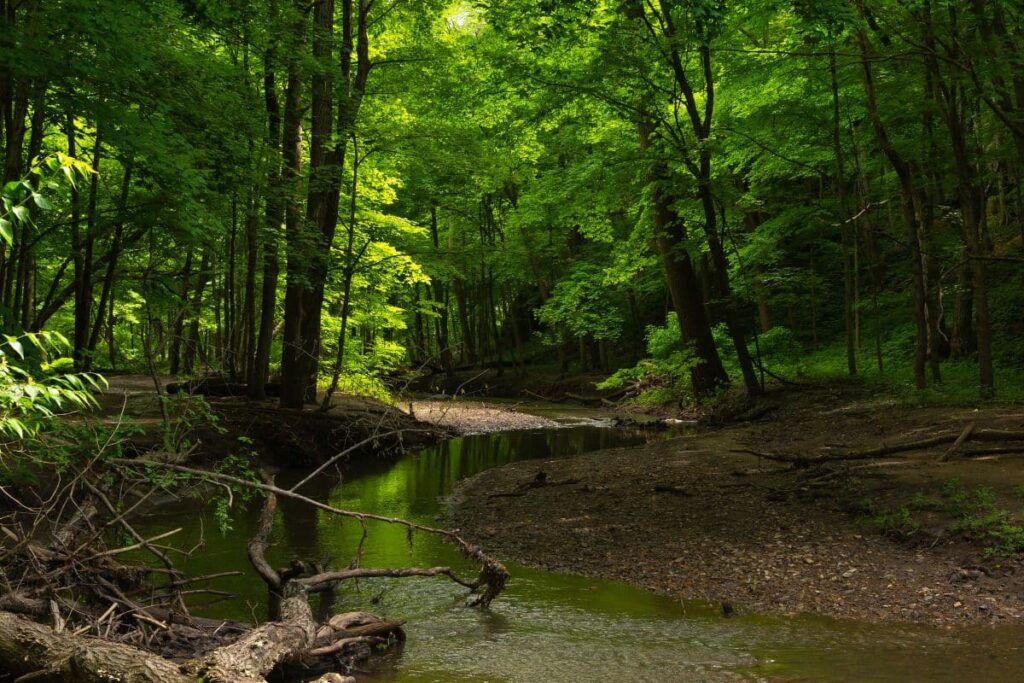Carbondale Illinois