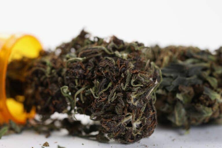 Cured cannabis flower