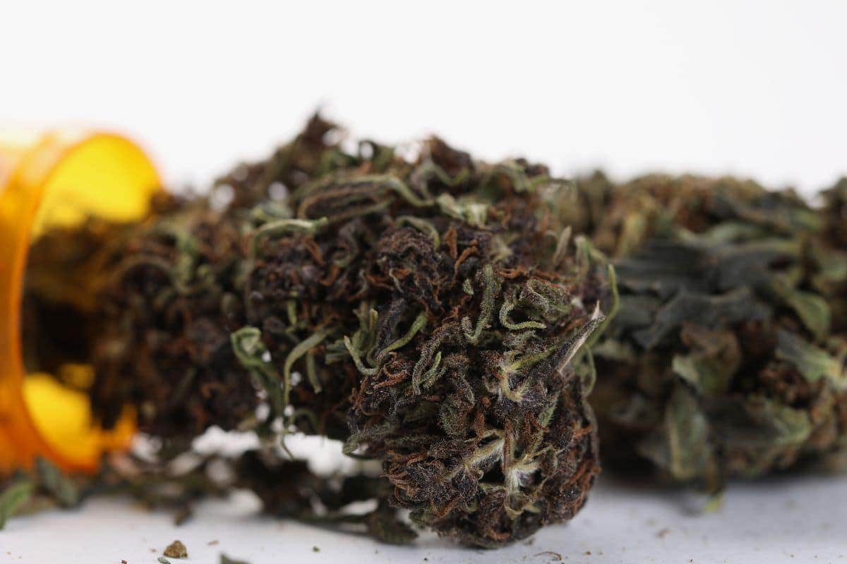 Cured cannabis flower