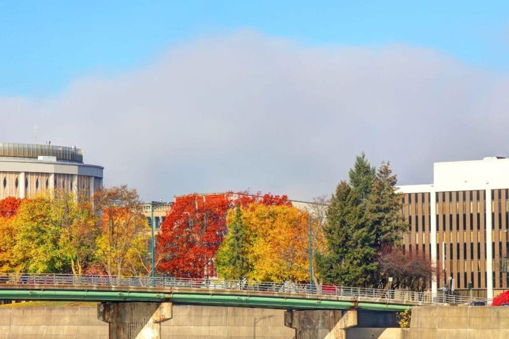Elmira New York