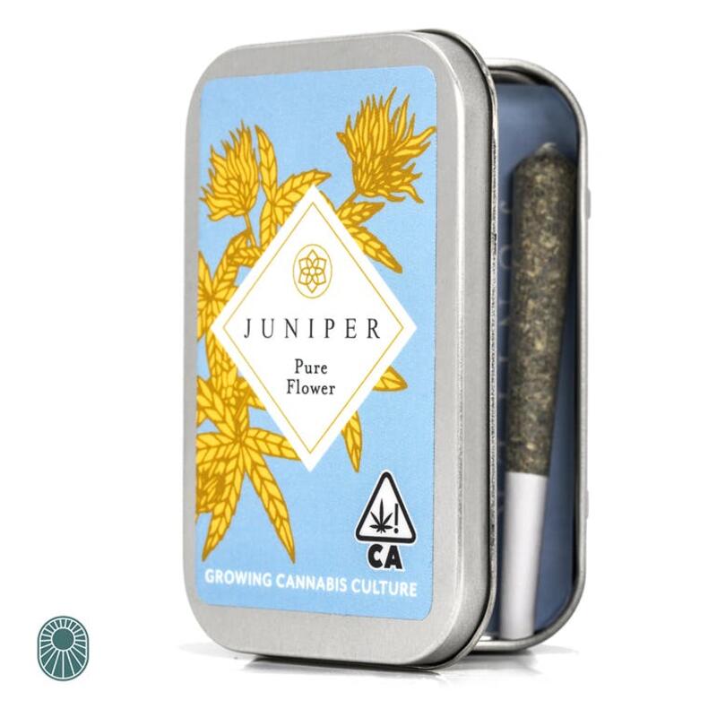 Juniper