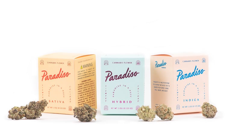 Paradiso