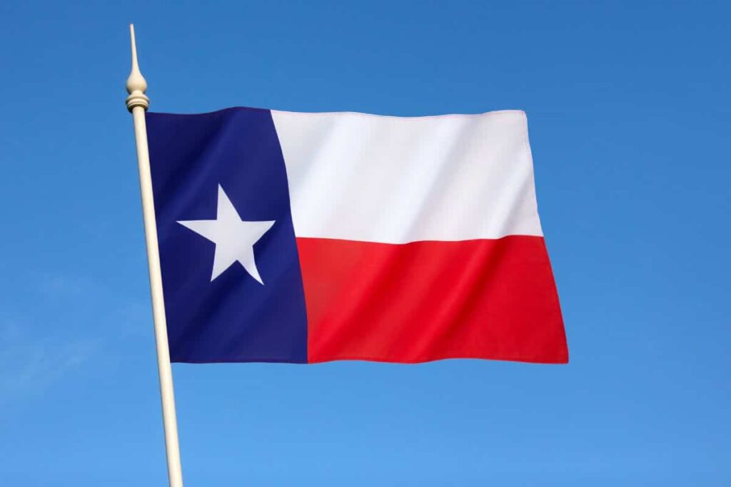 Texas Flag