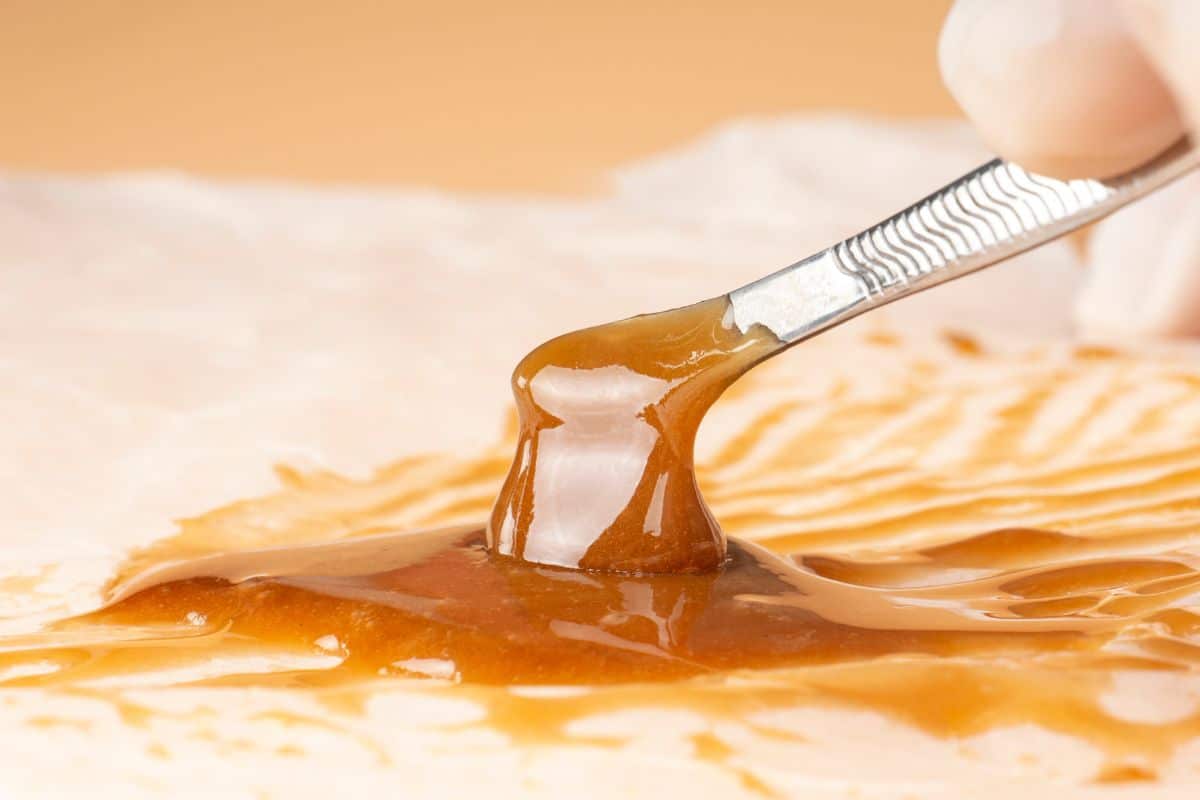 Fake live resin being checked by authorities for legality.