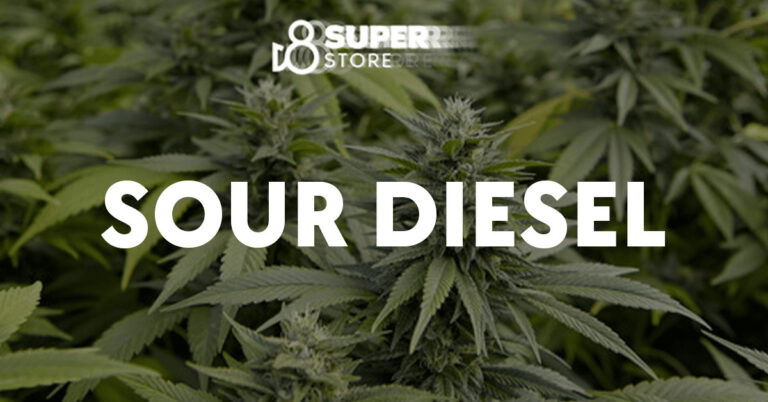 Strain: Sour diesel.