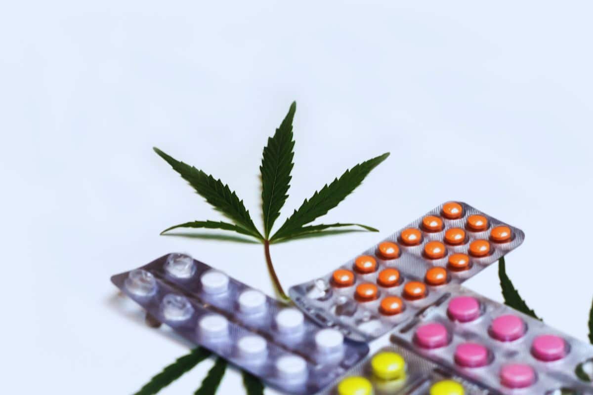 Vyvanse and Weed