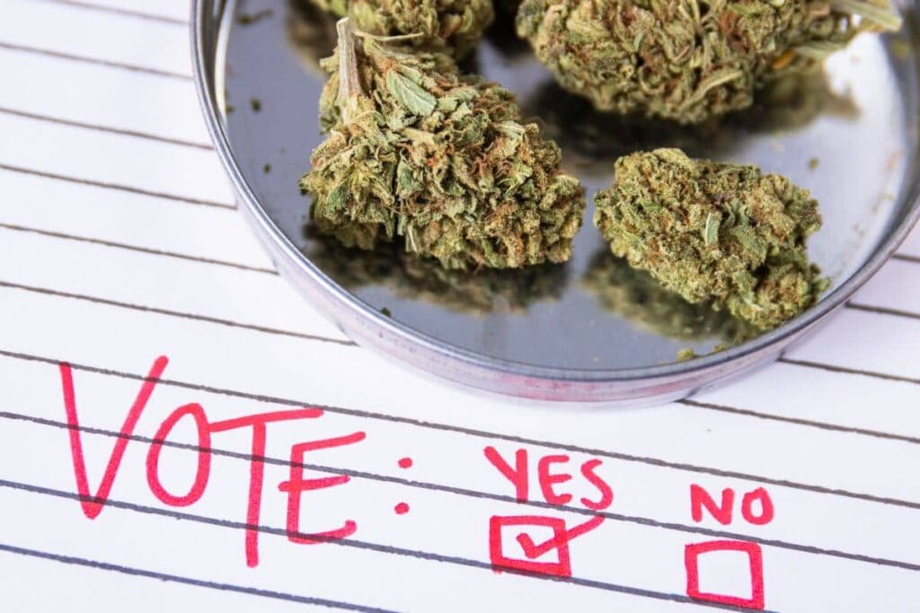 Medical cannabis consultations