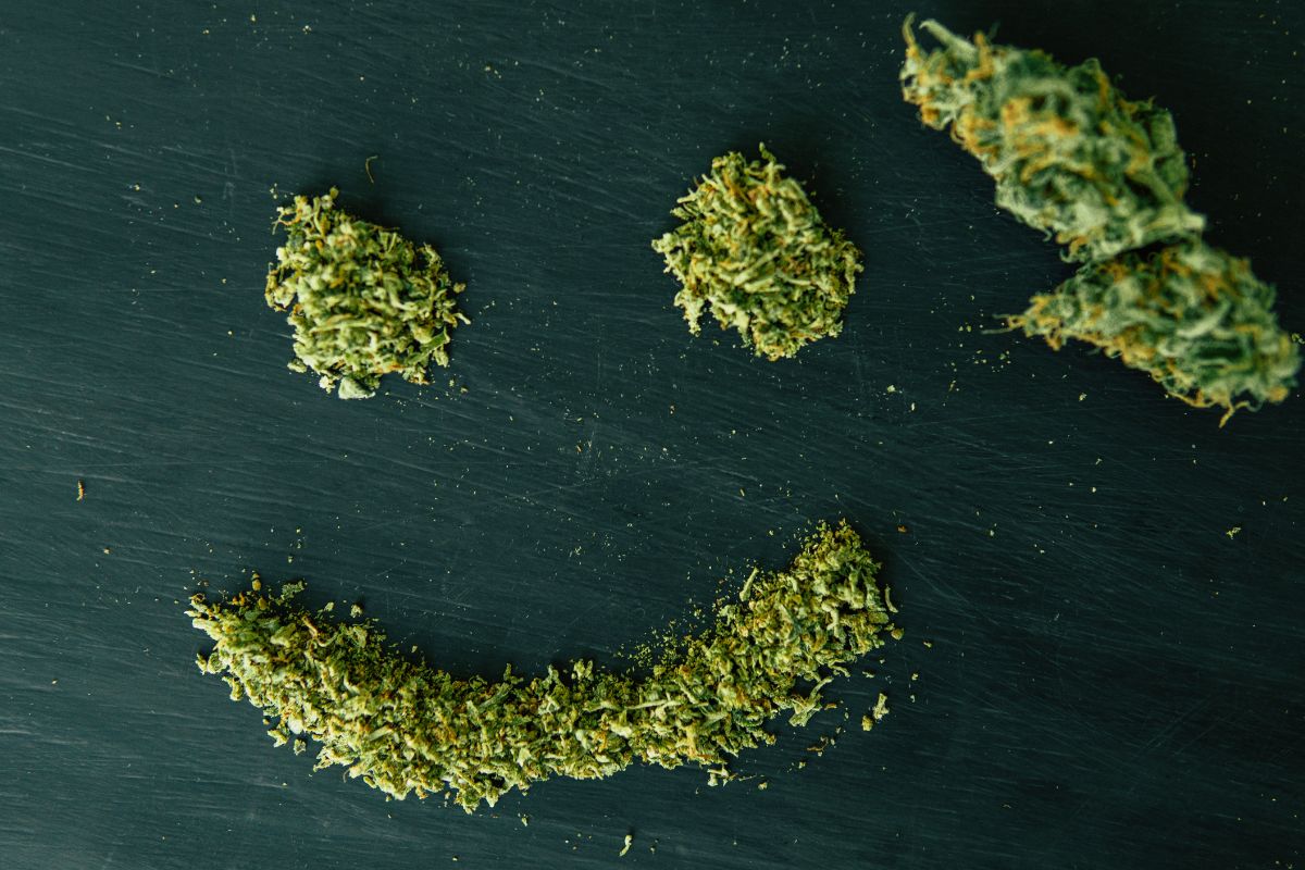 Crushed Weed Crushed Weed