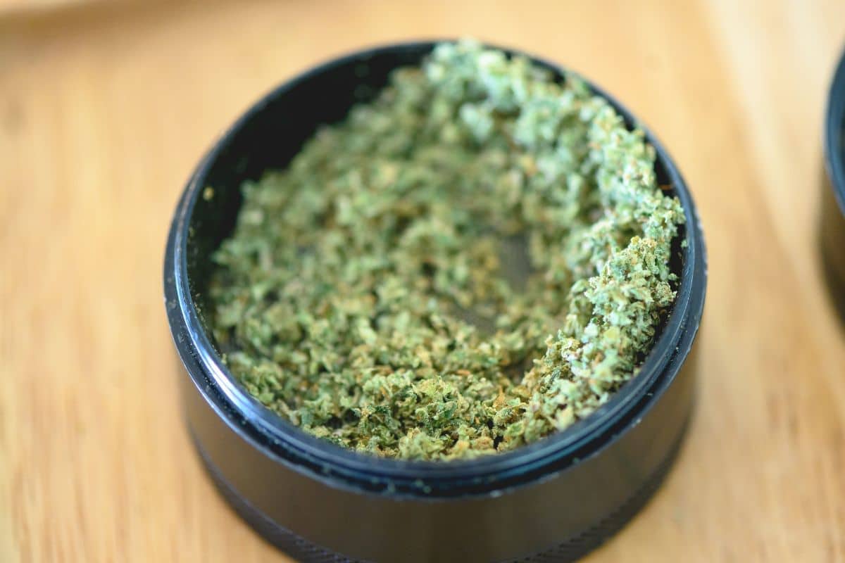 Grinded weed ready for snorting Grinded weed ready for snorting