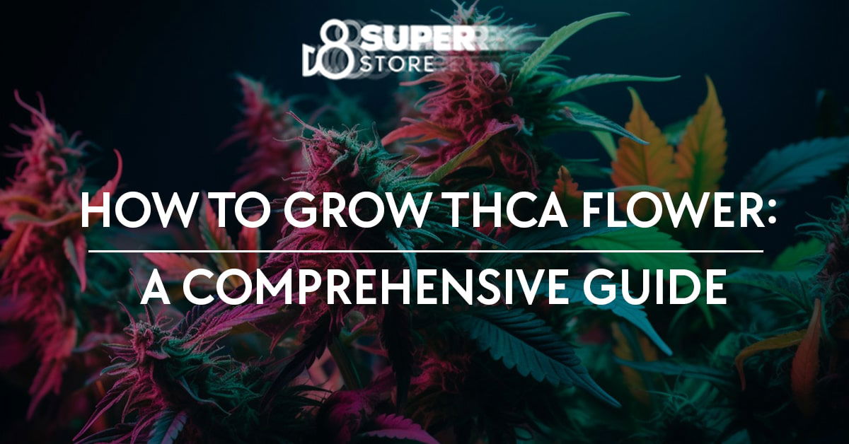 A comprehensive guide on growing THCa flower.