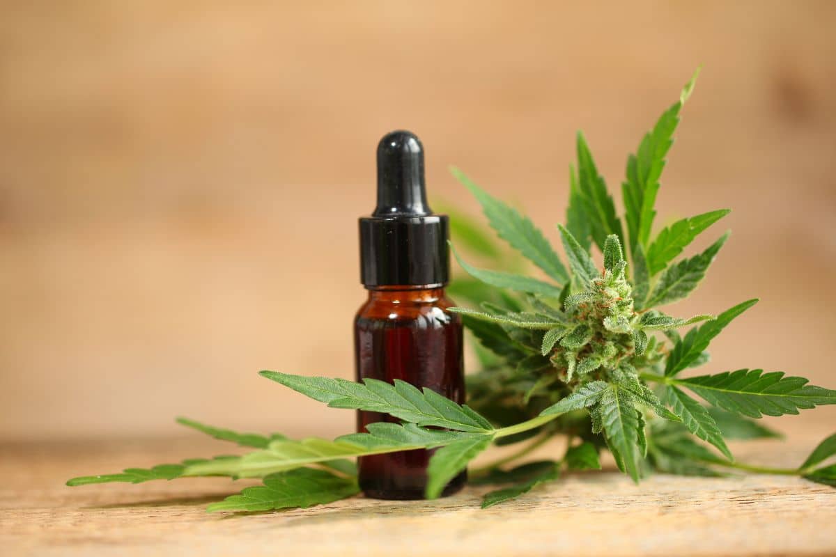 Delta 8 Bottle and Cannabis Strain