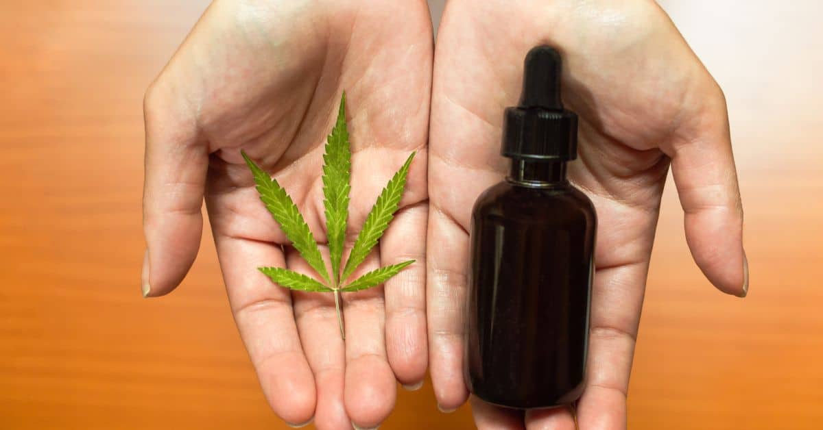 A woman holding marijuana leaf and THC bottle A woman holding marijuana leaf and THC bottle