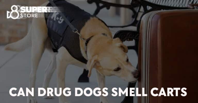 Can drug dogs detect carts?