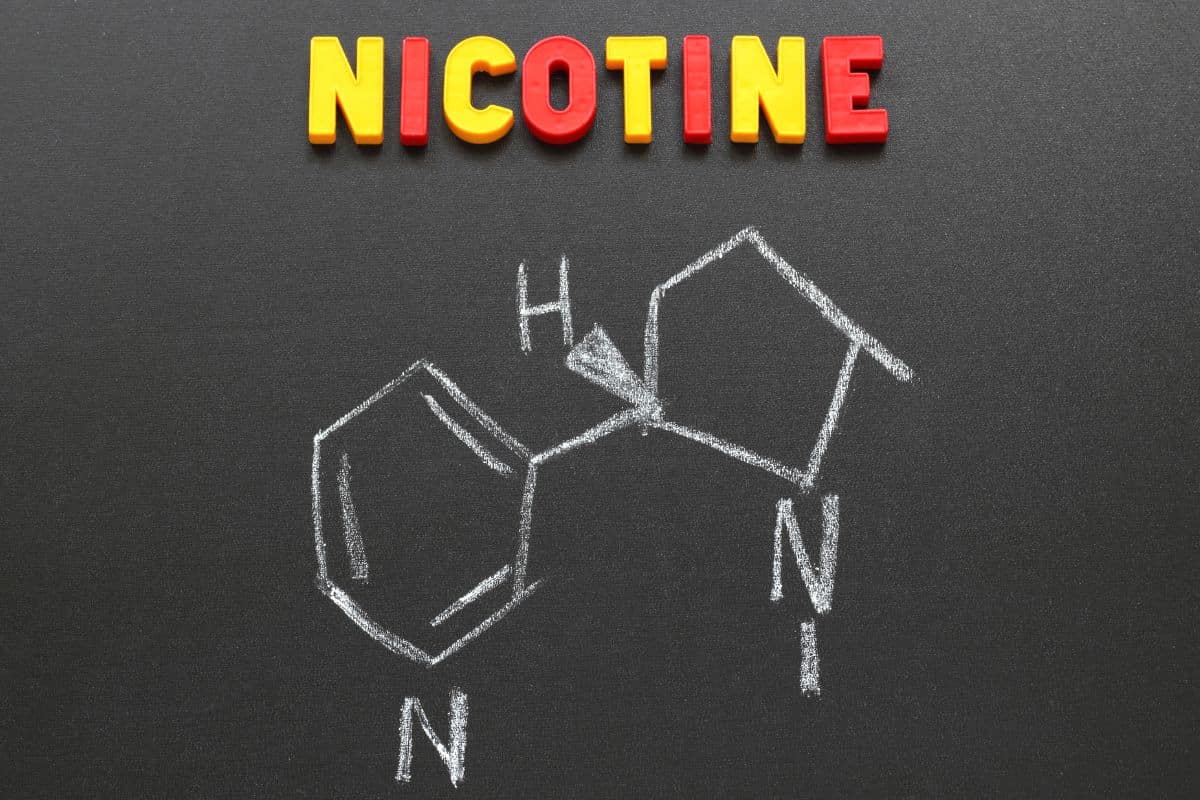 Nicotine Chemical Structure