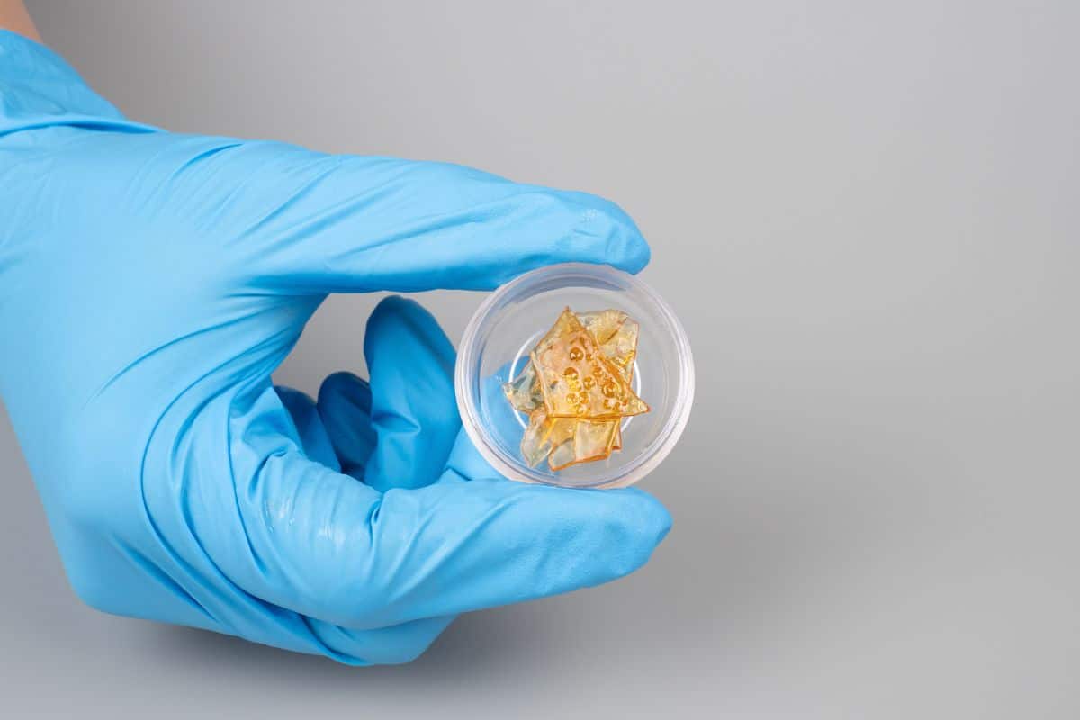 A person holding hash rosin. A person holding hash rosin.