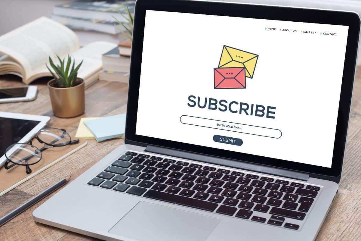 Binoid Newsletter Subscribe Button On a Website