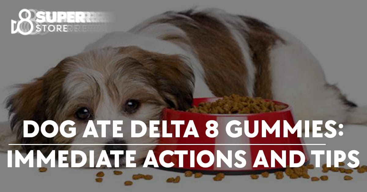 Immediate actions and tips for when a dog ingests delta 8 gummies.