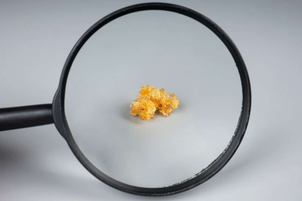 A magnifying glass used to differentiate between hash rosin and rosin. A magnifying glass used to differentiate between hash rosin and rosin.