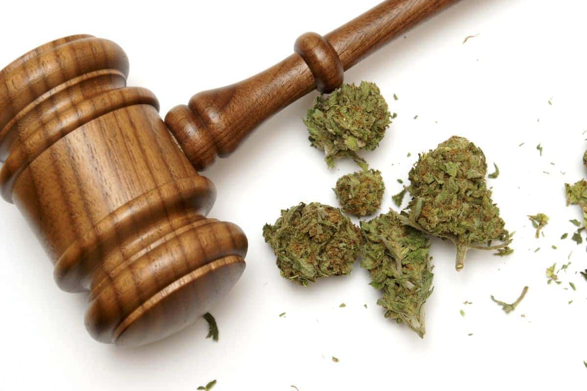 Marijuana laws all over the world Marijuana laws all over the world