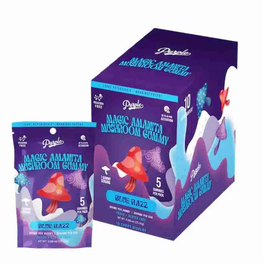 Purple Magic Mushroom Gummies 3000mg 5pc - Blue Razz