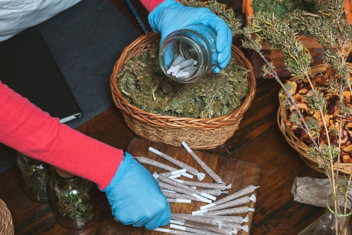 A woman storing cannabis pre rolls in a glass jar A woman storing cannabis pre rolls in a glass jar