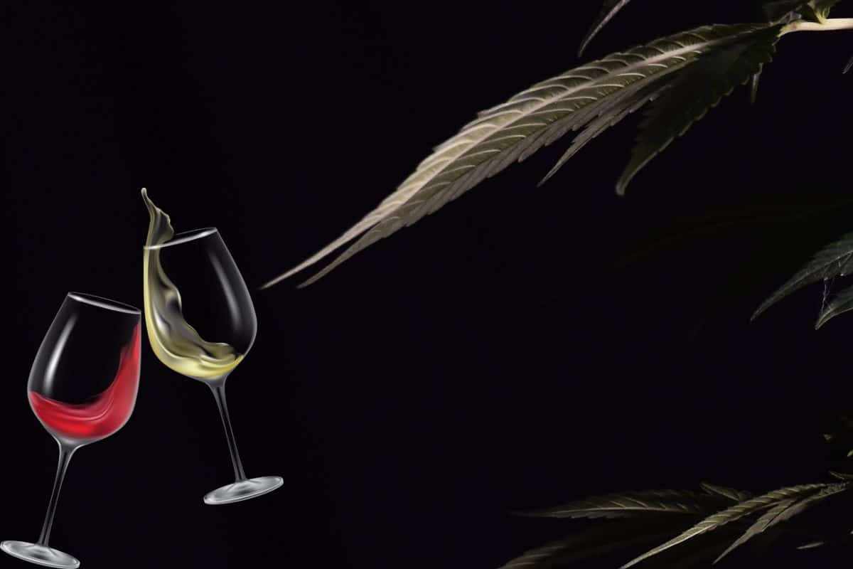 Alcohol and Marijuana leaves
