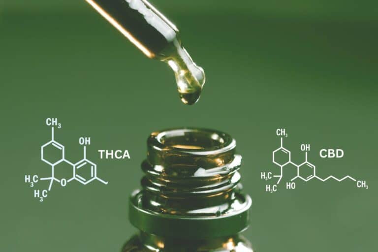 CBD vs THCa guide